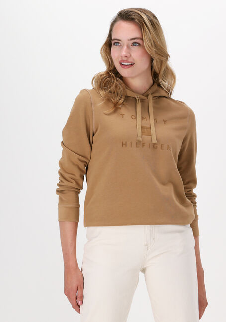 Khaki TOMMY HILFIGER Sweater REGULAR FLOCK HOODIE - large