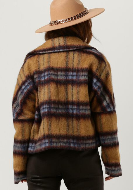 Camel IBANA Jack CHECKERD - large