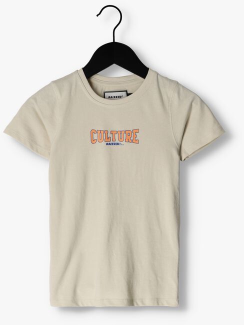 Lichtgrijze RAIZZED T-shirt SHERIDAN - large
