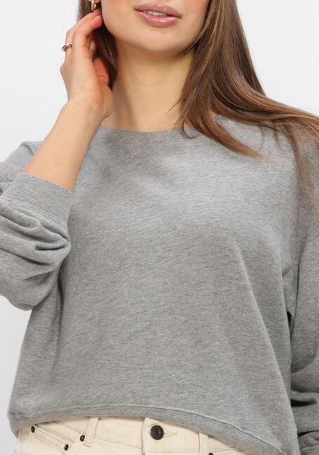 Grijze AMERICAN VINTAGE Top SONOMA - large