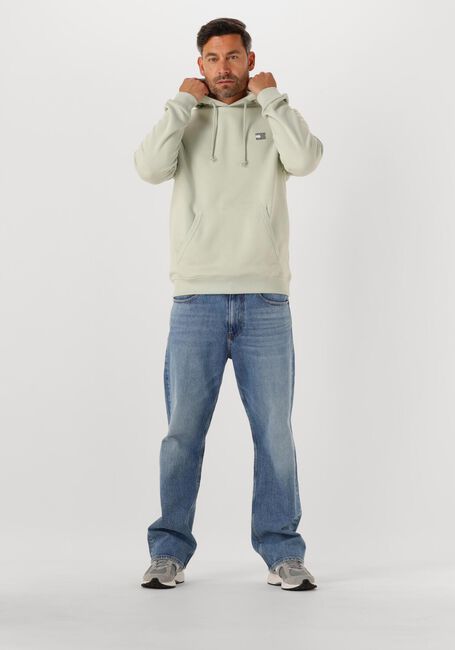 Mint TOMMY JEANS Trui TJM REG BADGE HOODIE EXT - large