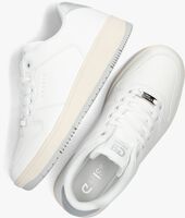 Witte CRUYFF Lage sneakers INDOOR ROYAL DAMES - medium