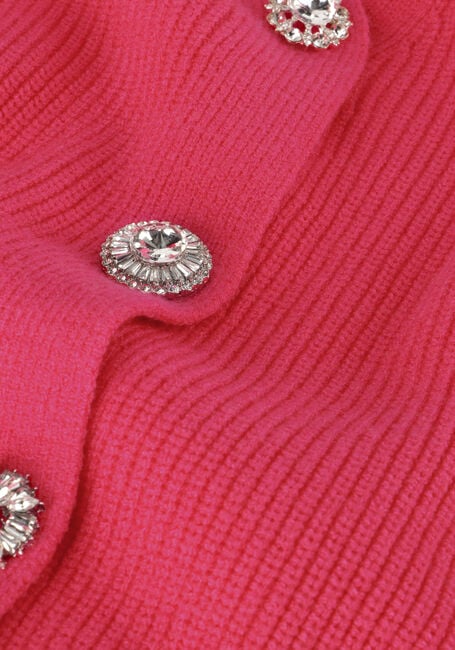 Roze JANICE Vest VIC - large