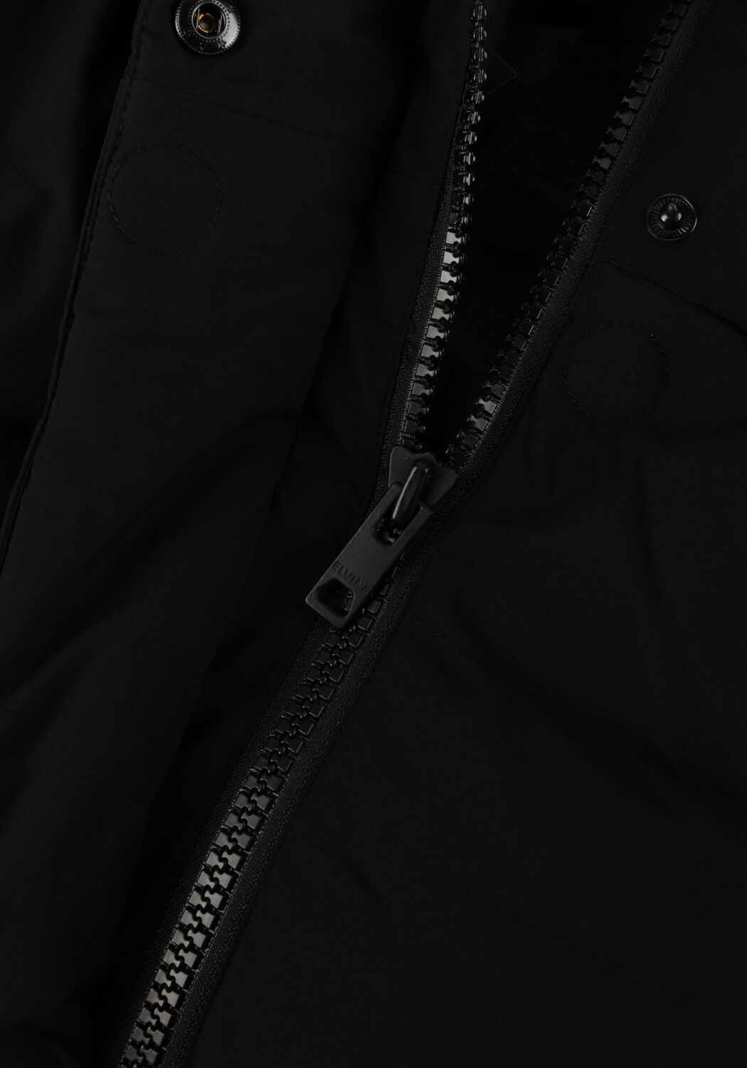 Zwarte ELVINE Gewatteerde jas VESPER - large