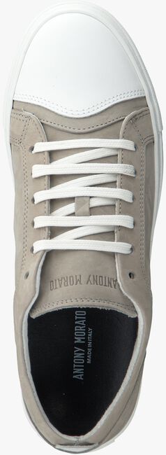 Taupe ANTONY MORATO Sneakers LE300004  - large