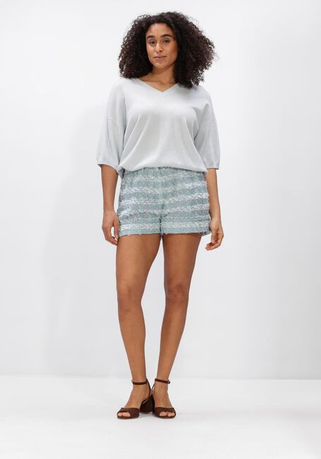 Multi JANICE Korte broek ARTHUR TWEED - large