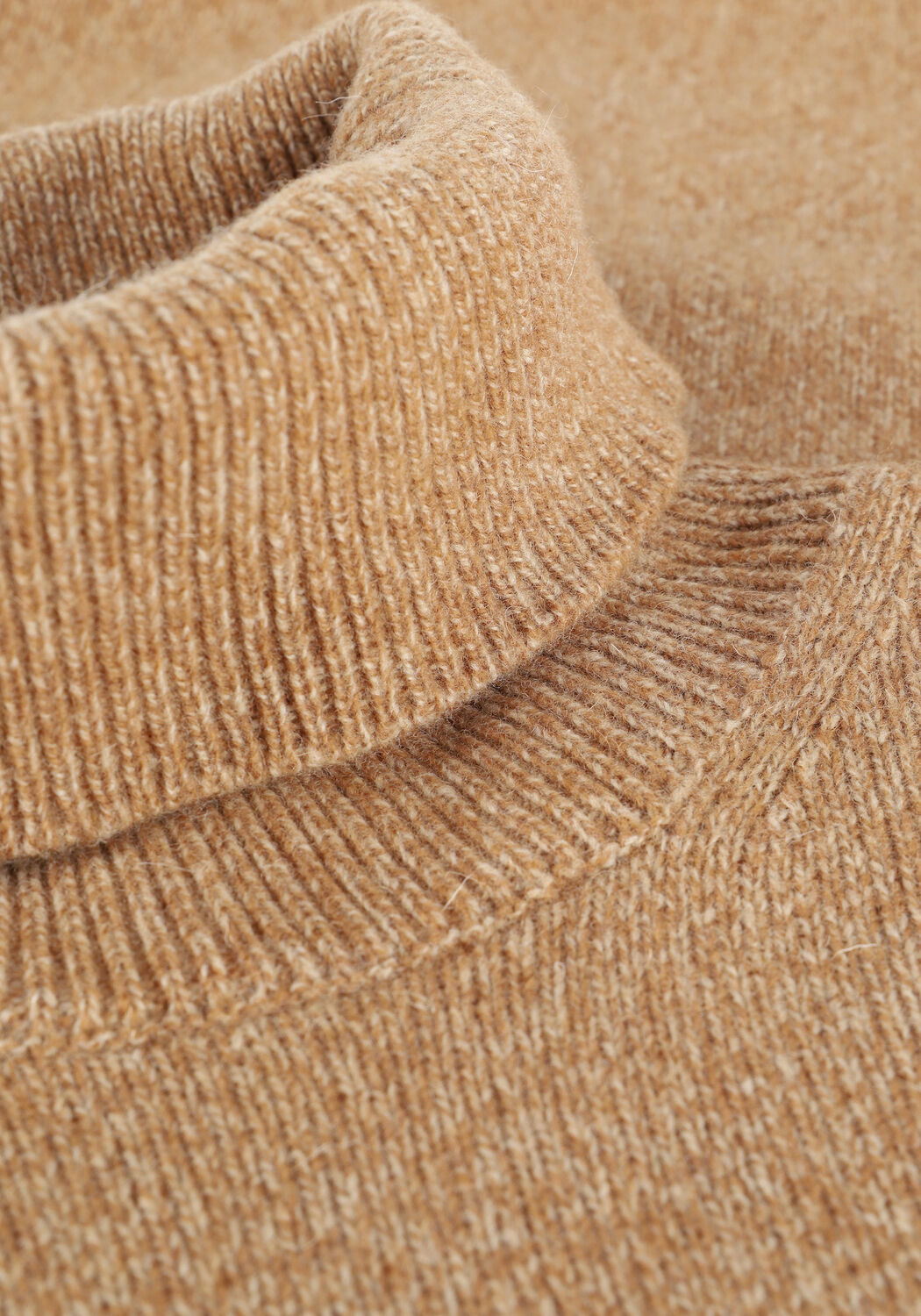 Camel PROFUOMO Coltrui JAMIESONS - large