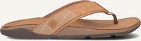 Bruine OLUKAI Teenslippers TUAHINE - medium