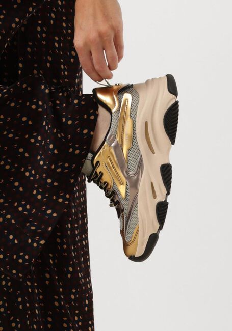 Gouden STEVE MADDEN Lage sneakers POSSESSION - large