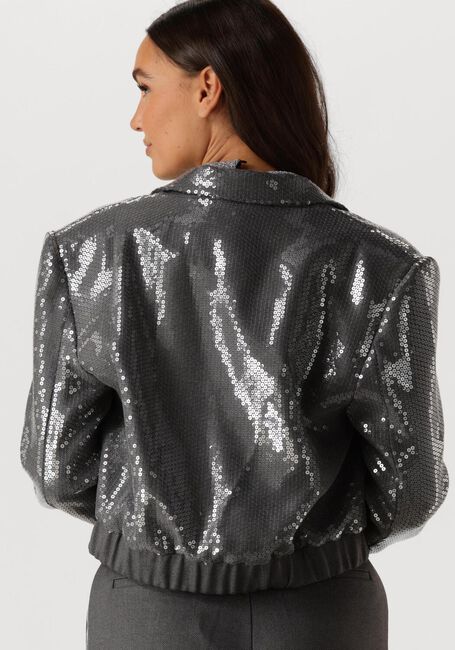 Grijze AAIKO Blazer MILLE SEQUINS PES 356 - large