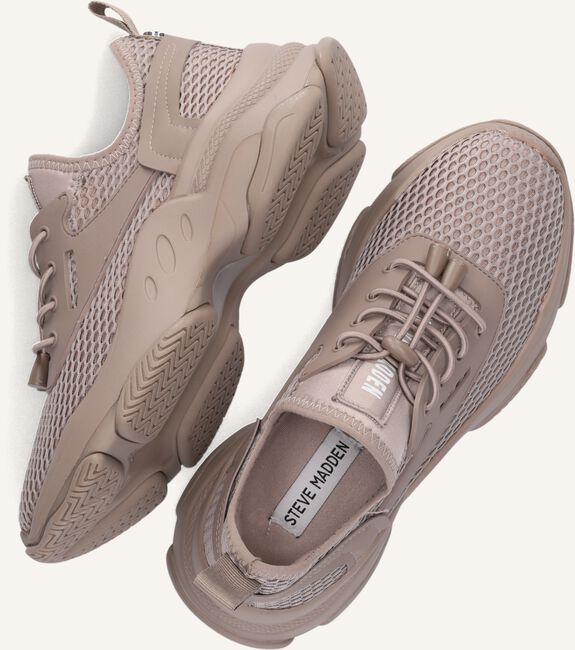 Taupe STEVE MADDEN Lage sneakers MASTERY Taupe STEVE MADDEN Lage sneakers MASTERY - large