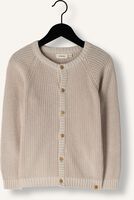 Beige LIL' ATELIER Vest NMNEMLEN LIN LS KNIT LIL - medium