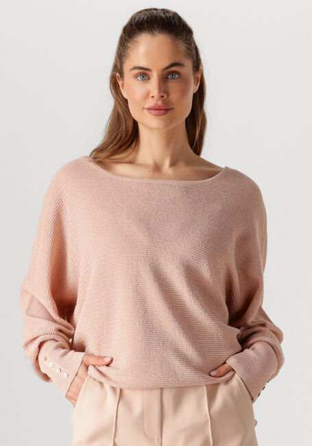 Roze NUKUS Trui BATWING PULLOVER LUREX - large