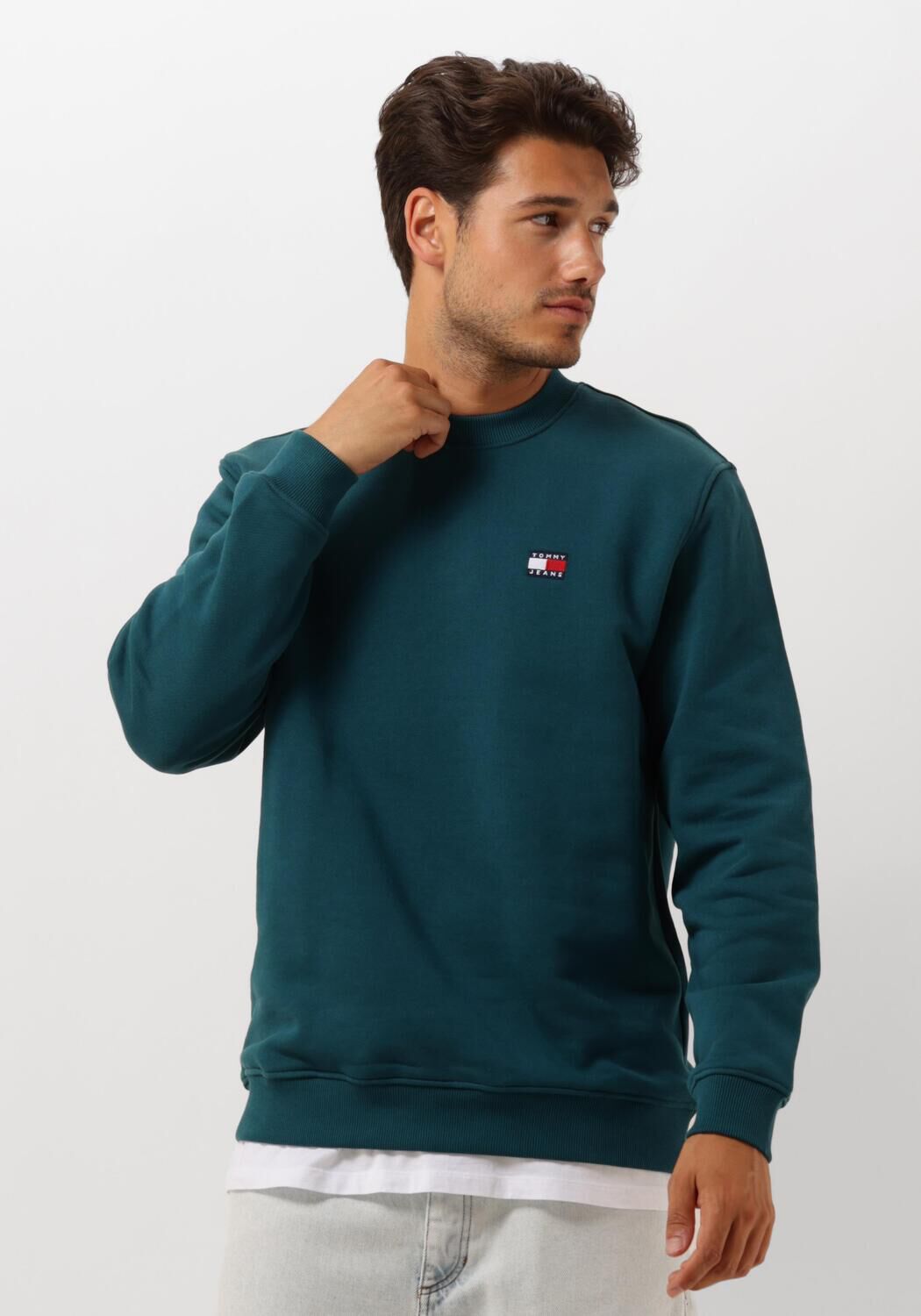 TOMMY JEANS Heren Truien & Vesten Tjm Reg Badge Crew Ext Blauw