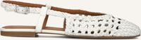 Witte UNISA Slingbacks BREJO Witte UNISA Slingbacks BREJO - medium