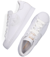 ADIDAS Sneakers Dames online kopen? | Voor 23:59 besteld, morgen ... ADIDAS Sneakers Dames online kopen? | Voor 23:59 besteld, morgen ...