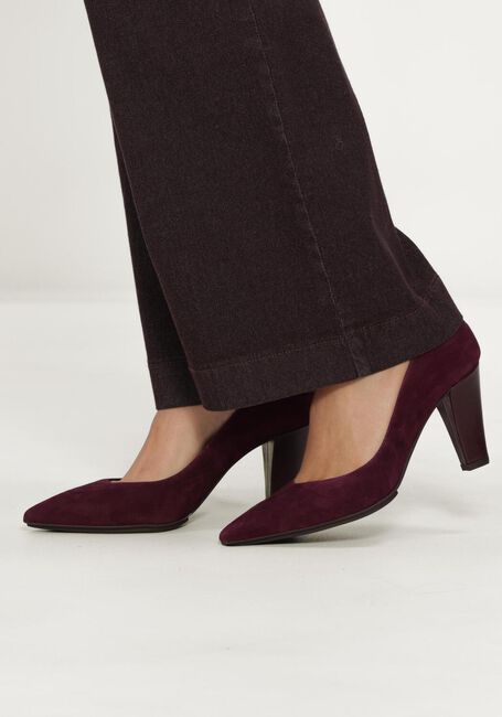 Paarse LODI Pumps RIDIC - large