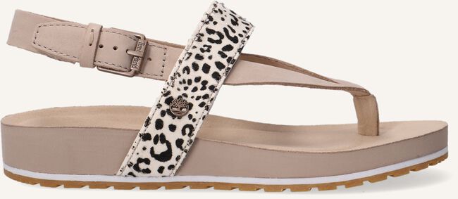 Beige TIMBERLAND Platte sandalen MALIBU WAVES THONG Beige TIMBERLAND Platte sandalen MALIBU WAVES THONG - large