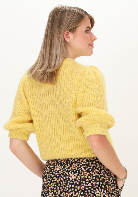 Gele FABIENNE CHAPOT Trui JET PULLOVER - large