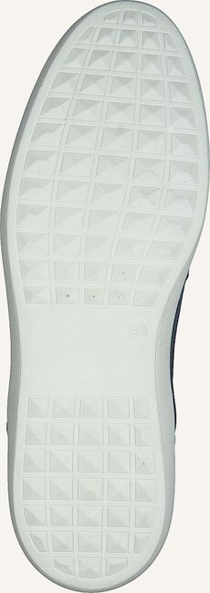 Blauwe GAASTRA Lage sneakers TILTON Blauwe GAASTRA Lage sneakers TILTON - large