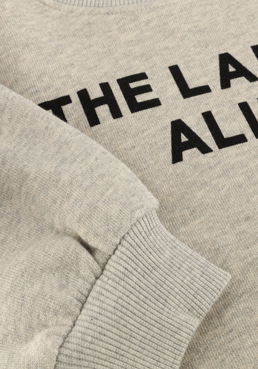 Lichtgrijze ALIX MINI Trui KNITTED STRASS LOGO SWEATER - large