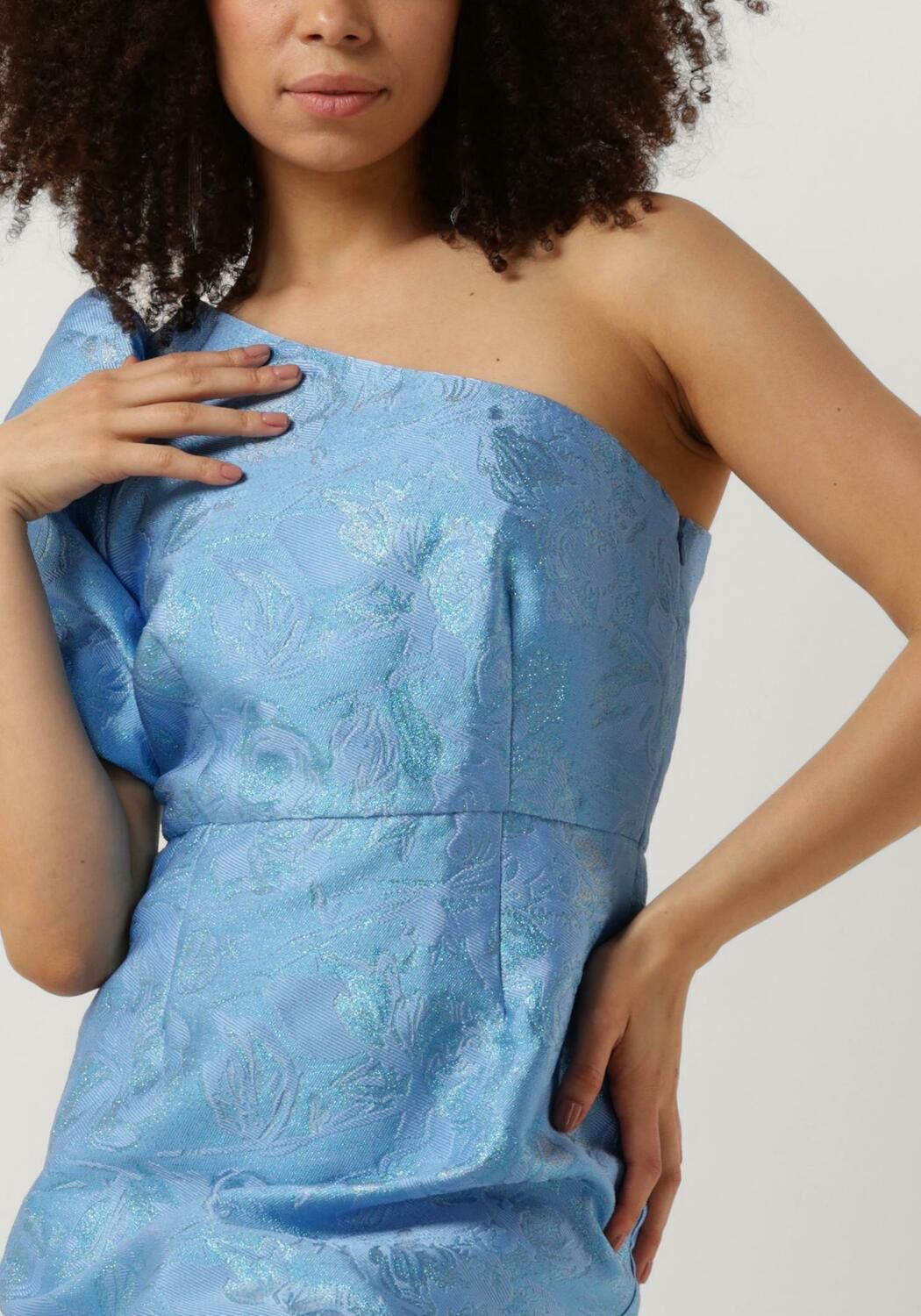 FREEBIRD Dames Jurken Dania Mini Blauw