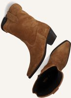 NOTRE-V 07-433 NOTRE-V 07-433 - medium