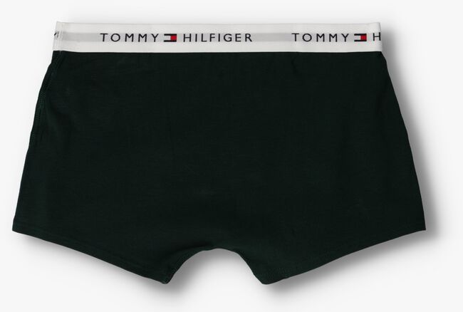 Grijze TOMMY HILFIGER UNDERWEAR Boxershort 2P TRUNK BOXER TH - large