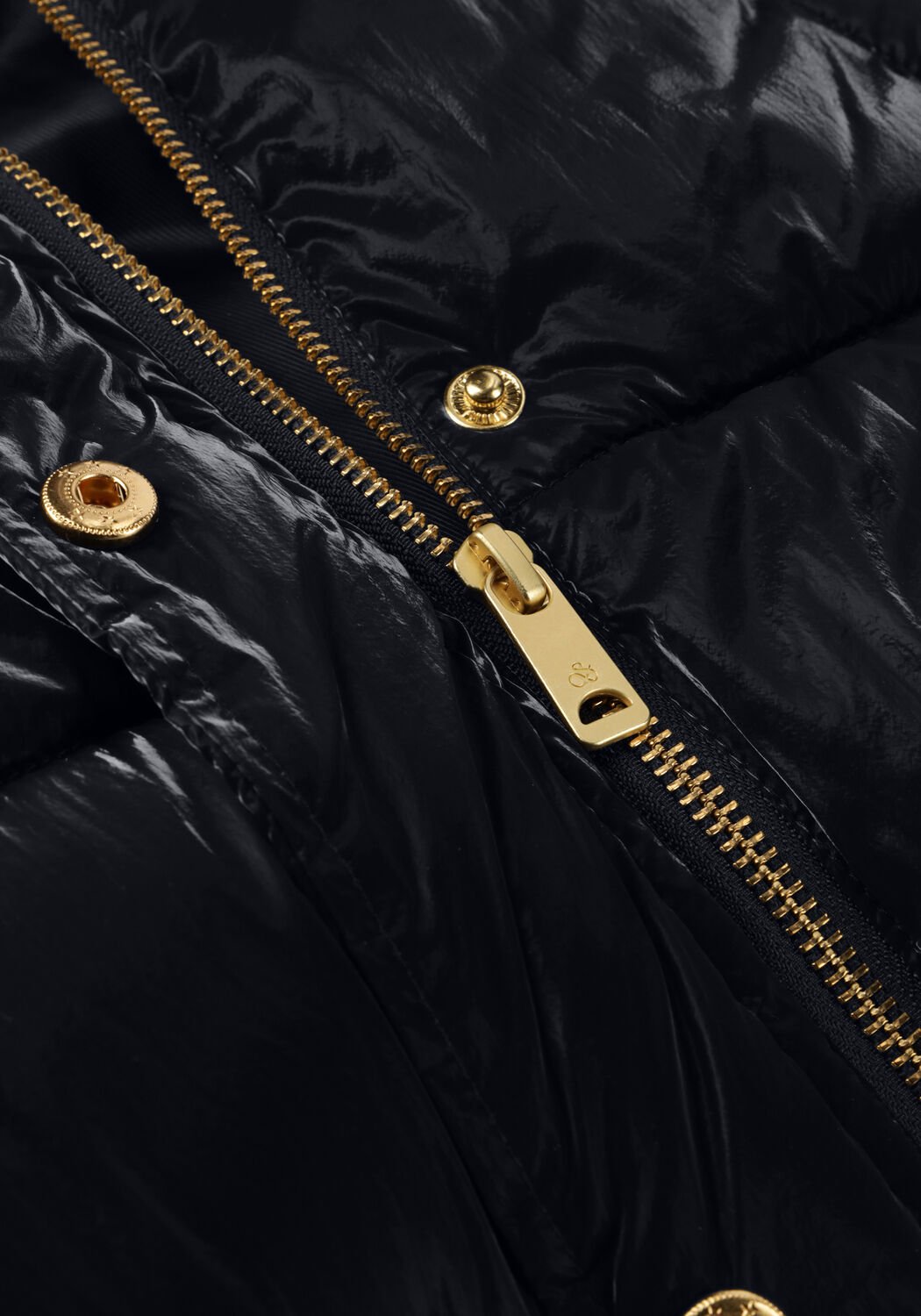 Shiny jacket online