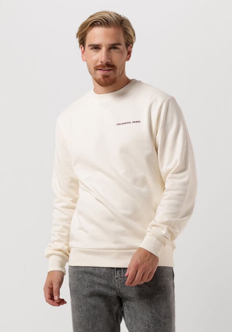 Gebroken wit COLOURFUL REBEL Sweater CLRFL RBL BACK PRINT BASIC SWEAT - large