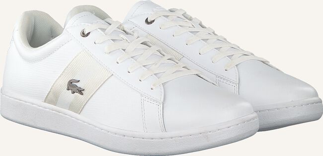 Witte LACOSTE Lage sneakers CARNABY EVO HEREN Witte LACOSTE Lage sneakers CARNABY EVO HEREN - large