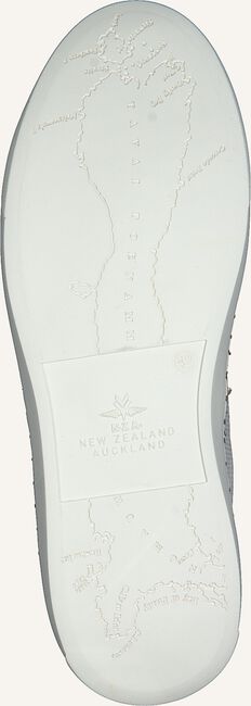 Witte NZA NEW ZEALAND AUCKLAND Lage sneakers TAUPO II Witte NZA NEW ZEALAND AUCKLAND Lage sneakers TAUPO II - large