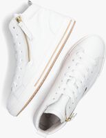 Witte GABOR Hoge sneaker 505.1 - medium