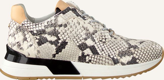 Beige FRED DE LA BRETONIERE Lage sneakers 101010132 Beige FRED DE LA BRETONIERE Lage sneakers 101010132 - large