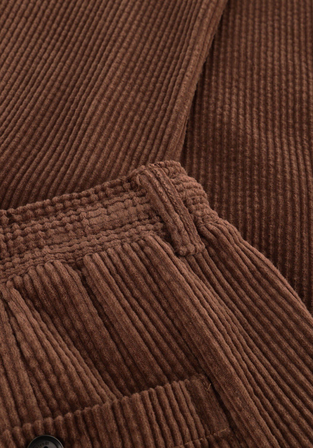 Bruine ANERKJENDT Chino AKJAN CORD PLEAT PANTS - large