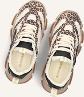 Beige STEVE MADDEN Lage sneakers JPOSSESSION Beige STEVE MADDEN Lage sneakers JPOSSESSION - medium