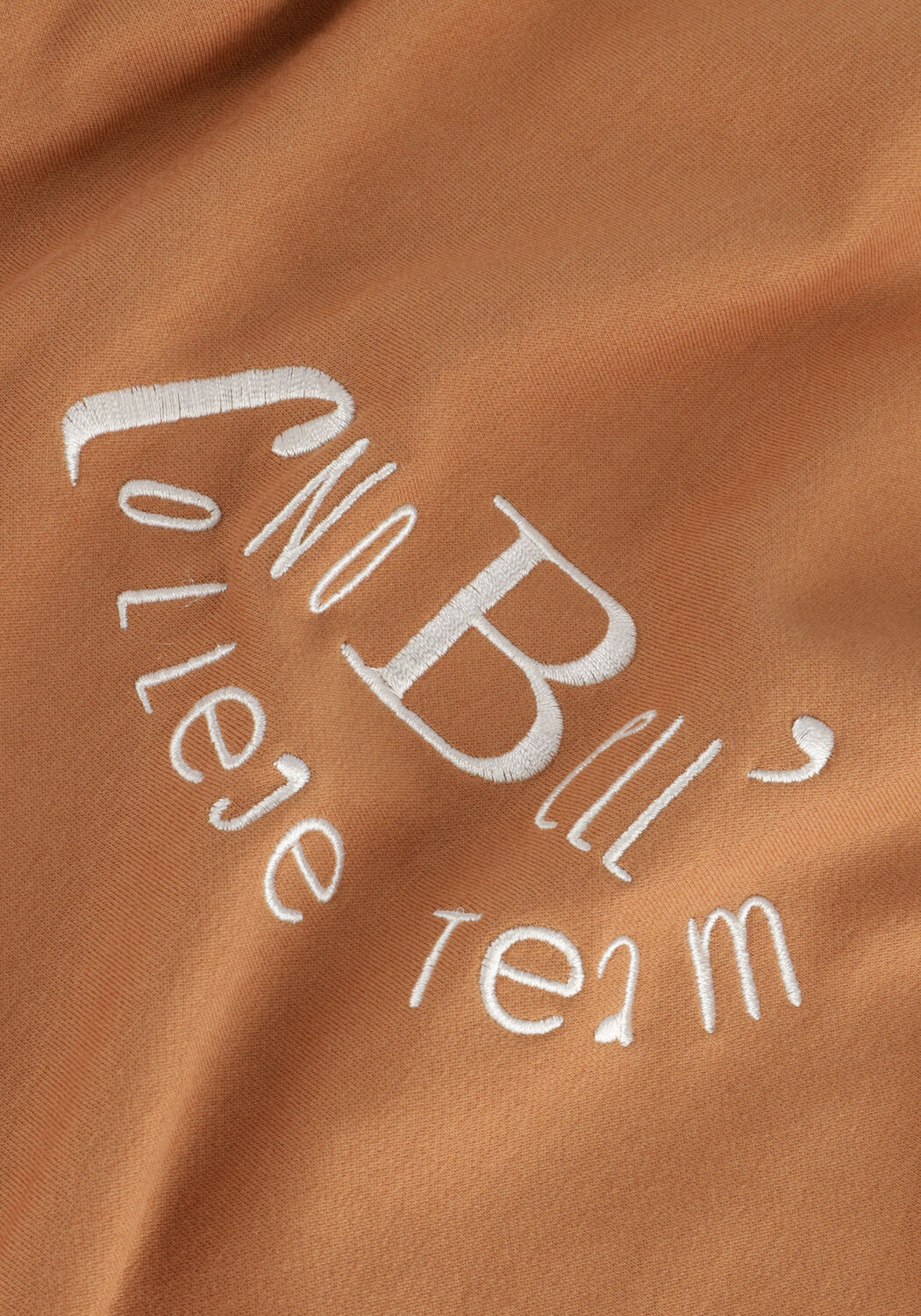 Bruine NOBELL  KUMY GIRLS SOFT HOODED SWEATER BROWN - large