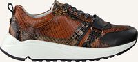 Cognac FRED DE LA BRETONIERE Lage sneakers LONNEKE SNEAKER - medium