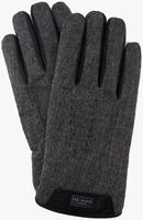 Grijze TED BAKER Handschoenen SLICK - medium