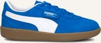 PUMA PALERMO PS PUMA PALERMO PS - medium