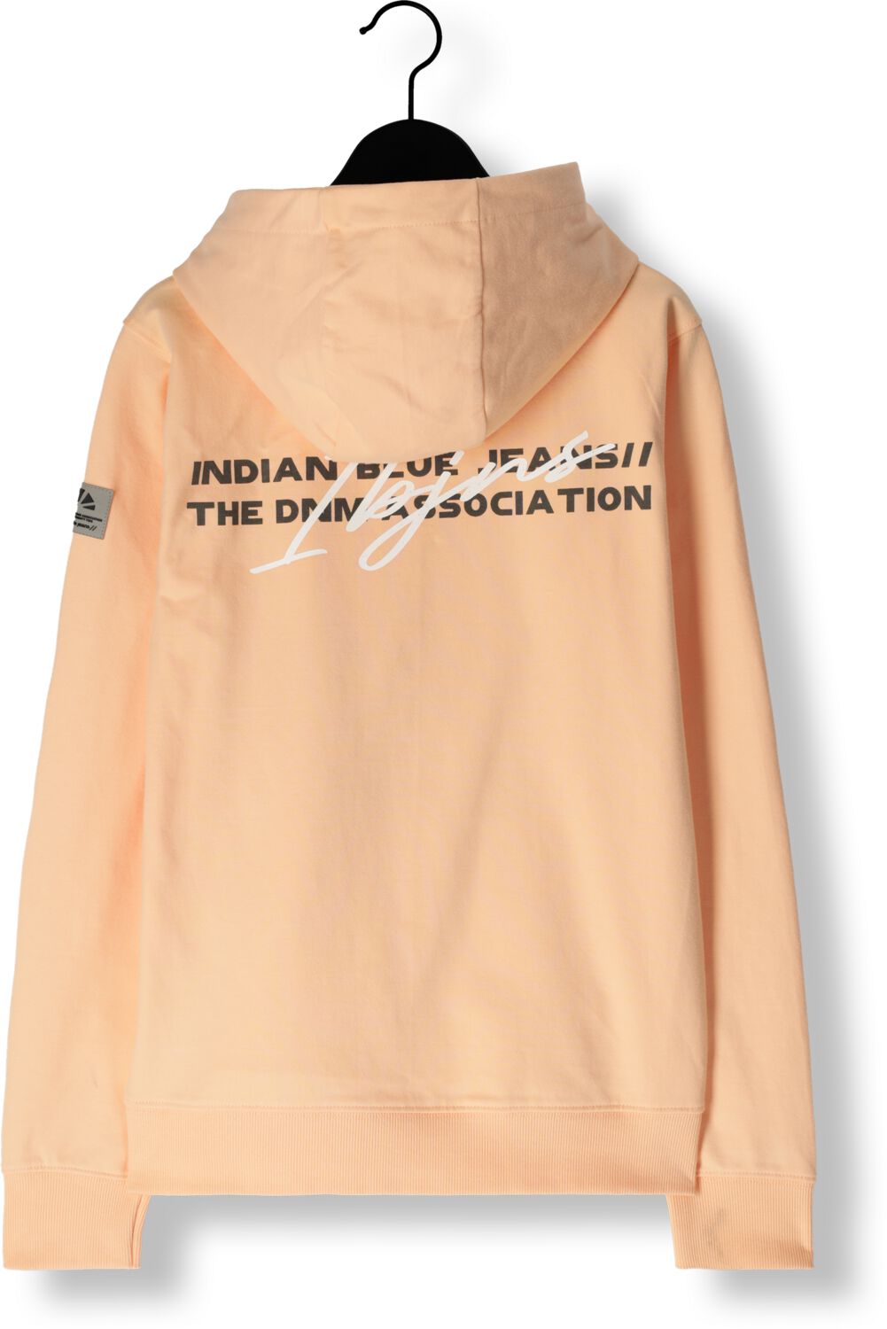 INDIAN BLUE JEANS Jongens Truien & Vesten Hoodie Print Oranje