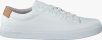 Witte BLACKSTONE Lage sneakers NM62 - medium