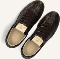 Bronzen FRED DE LA BRETONIERE Lage sneakers PEARL BASE Bronzen FRED DE LA BRETONIERE Lage sneakers PEARL BASE - medium