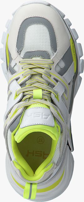 Witte ASH FLASH12 Sneakers - large