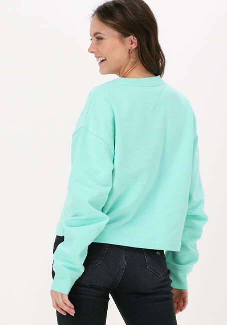 Mint TOMMY JEANS Sweater TJW CROP TOMMY SIGNATURE CREW - large