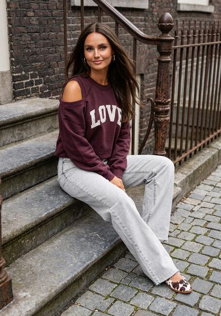 Bordeaux CATWALK JUNKIE Trui GRAPHIC SWEATER WITH CUT OUT - large