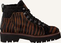 Bruine SCOTCH & SODA Veterboots OLIVINE - medium
