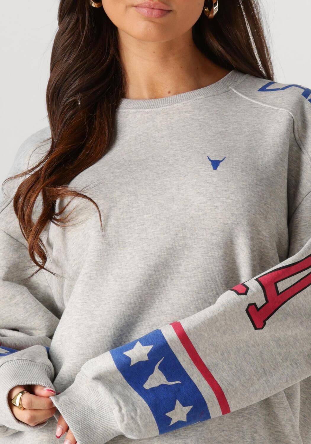 ALIX THE LABEL Dames Truien & Vesten Ladies Knitted Sports Sweater Grijs