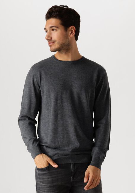 Grijze PROFUOMO Trui PULLOVER CREWNECK - large