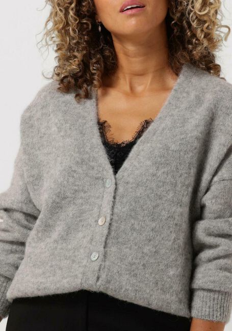 Grijze SUMMUM Vest CARDIGAN FEATHER LIGHT ALPACA KNIT - large